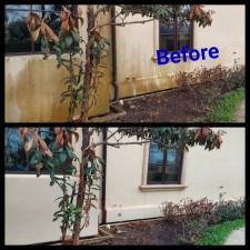 Stucco Soft Wash Algae Removal in Bellaire, TX 0